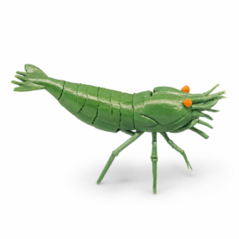Shrimp Lolly Holder, Green Jade