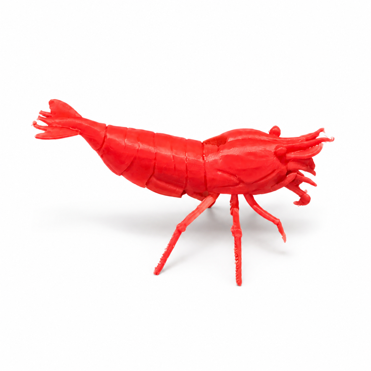 Shrimp Lolly Holder, Red Cherry