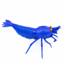 Shrimp Lolly Holder, Blue OE