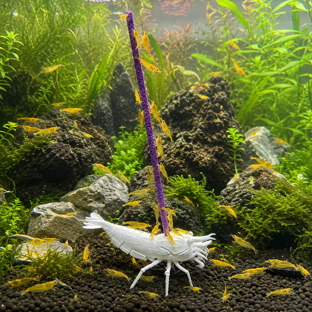 Shrimp Lolly Holder, White - Image 2