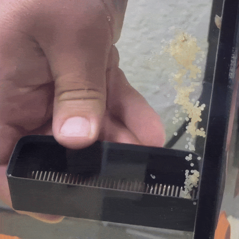 Aquarium Easy Egg Collector