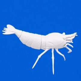 Shrimp Lolly Holder, White