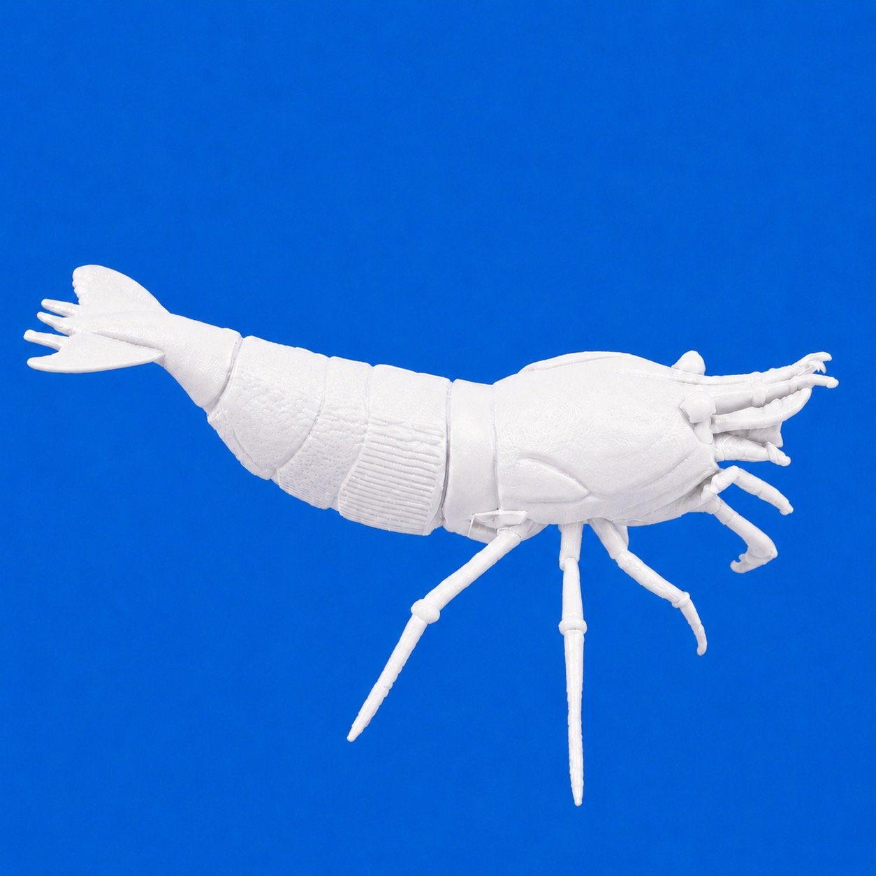Shrimp Lolly Holder, White