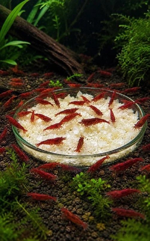 Premium Quality Snowflake Pellets - Image 2