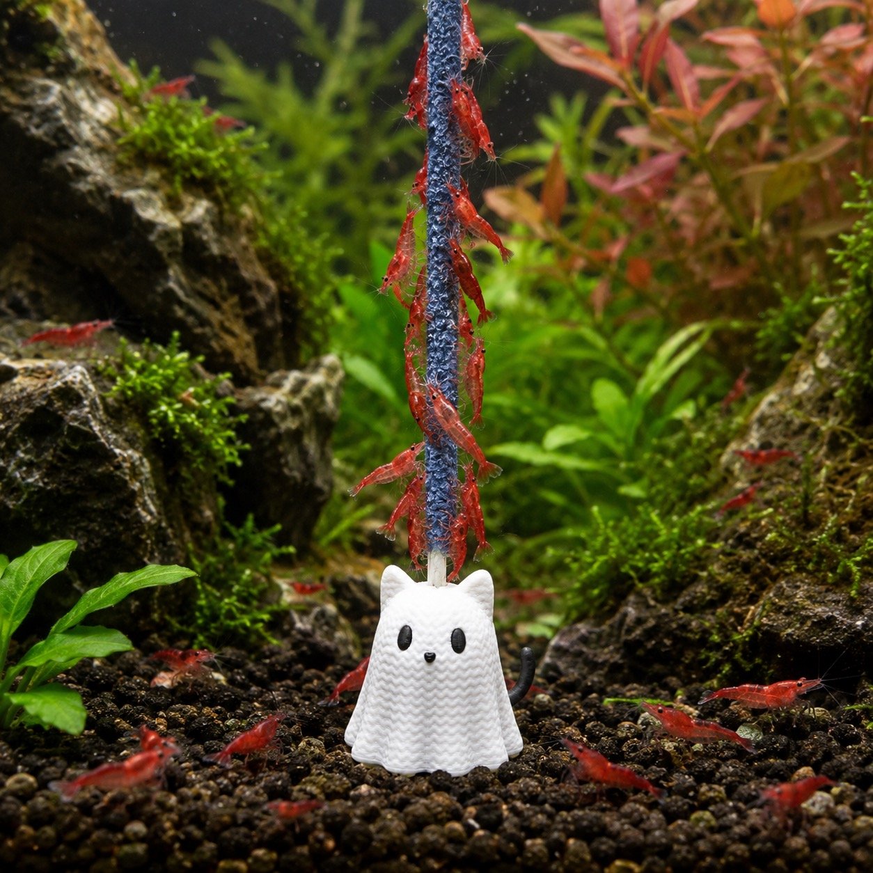 Shrimp Lolly Holders, Spooky Halloween - Image 7