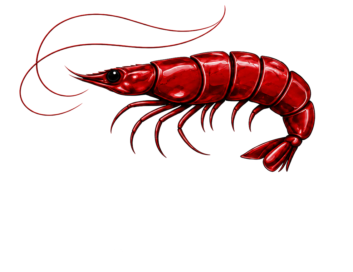 Simon the Shrimp