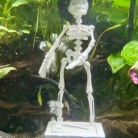 Mr Bones Dancing Skeleton Vr 2