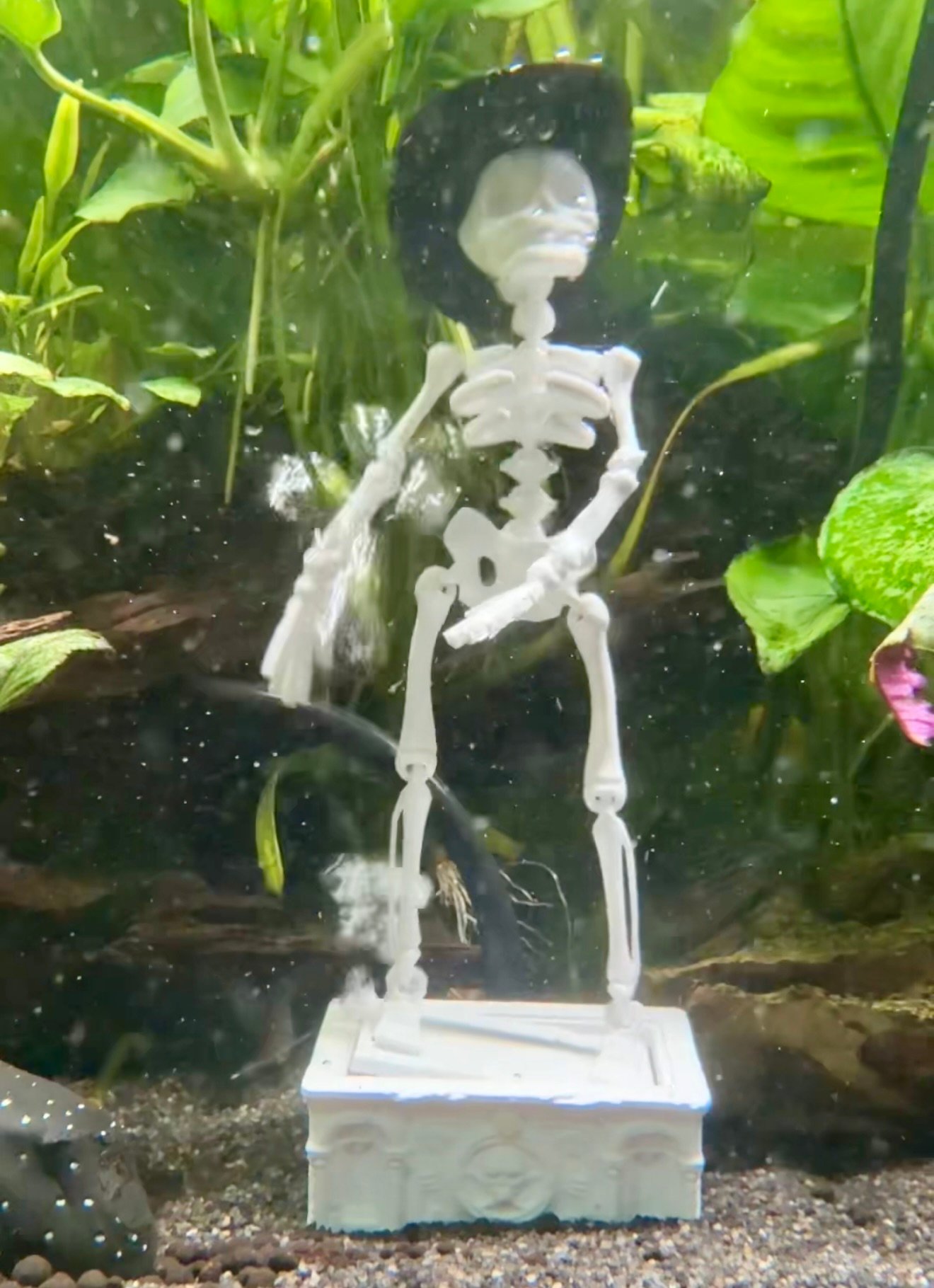 Mr Bones Dancing Skeleton Vr 2
