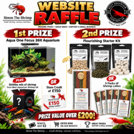 Raffle - Aqua One 36 Litre Aquarium & Shrimp Pack