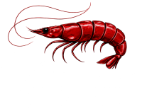 Simon_The_Shrimp_Logo_True_Transparent_White_Text